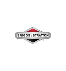 briggs and straton